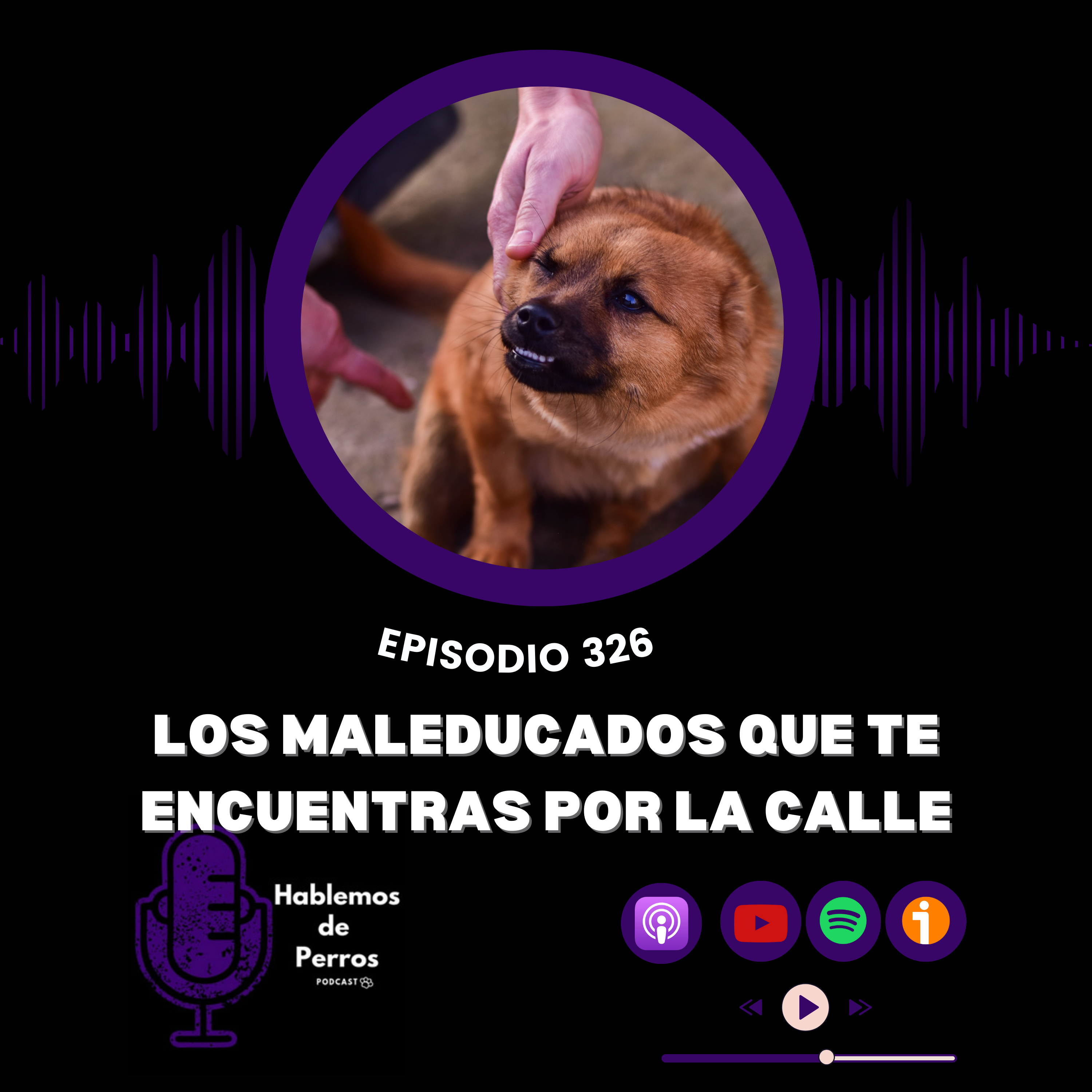 Episodio #326: Los maleducados que te encuentras por la calle