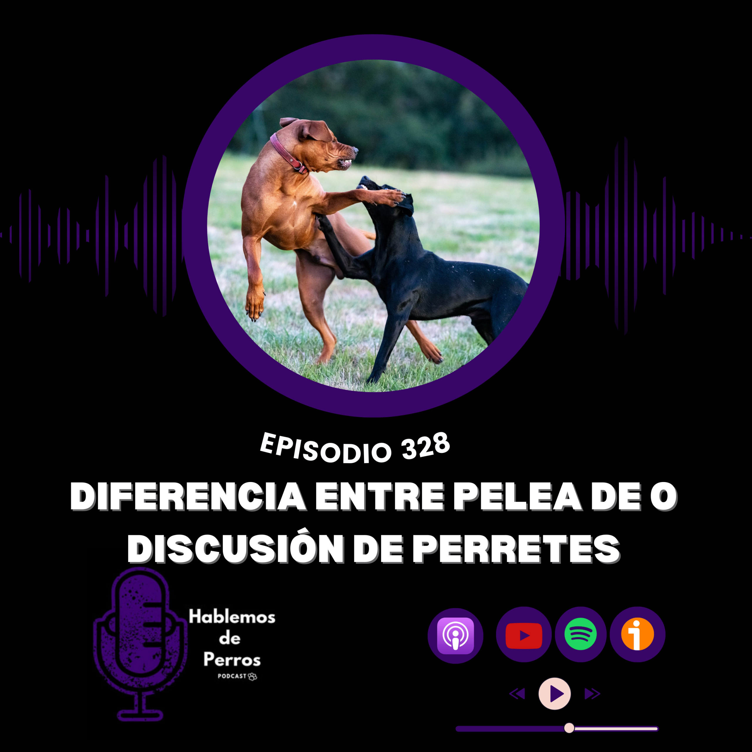 Episodio #328: Diferencia entre pelea y discusión de perretes