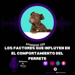 Hablemos de perros Hablemos de perros