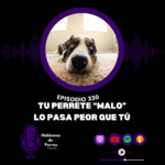 Hablemos de perros Hablemos de perros