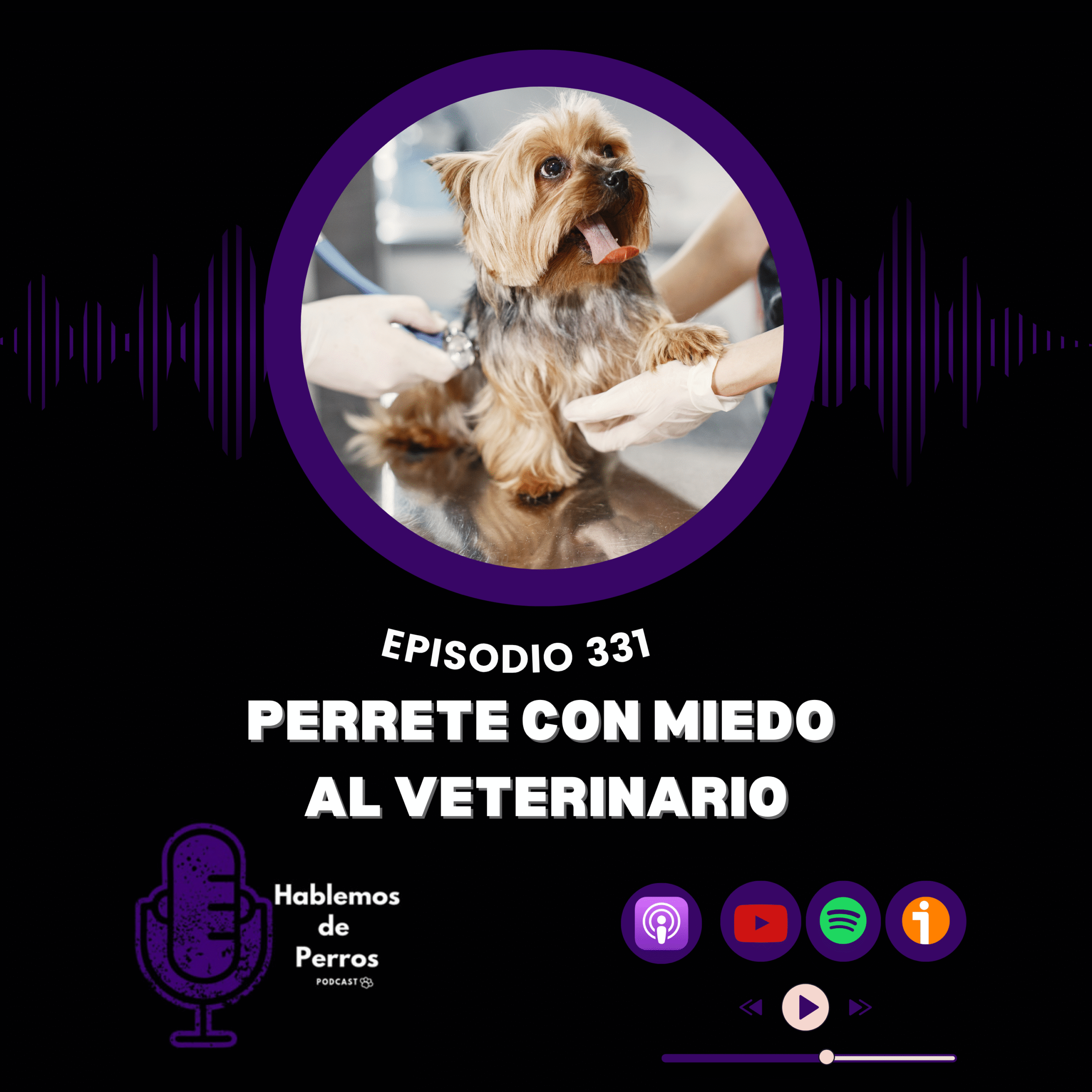 EP#331: Perro con miedo al veterinario