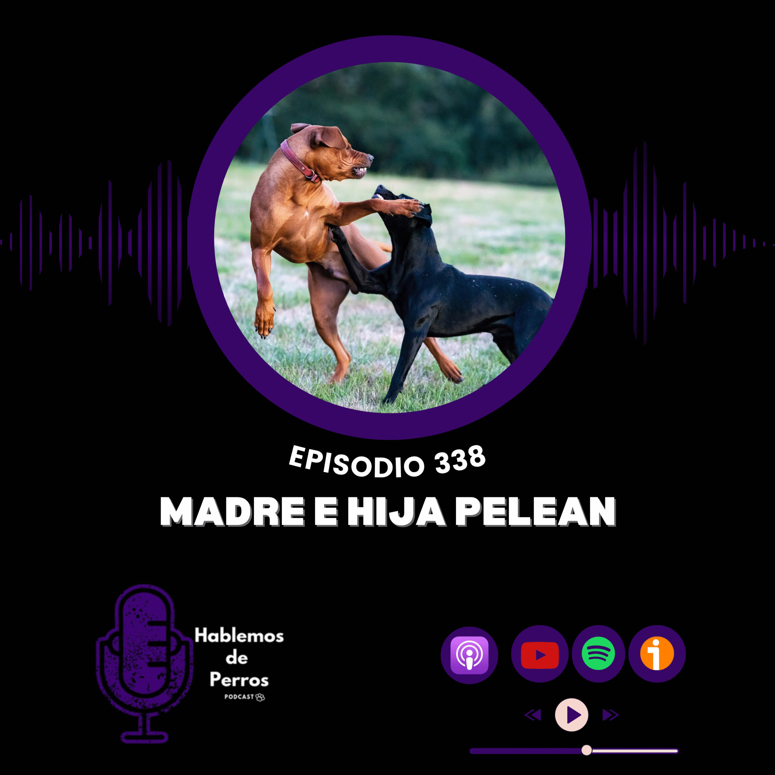 EP#338: Madre e hija pelean