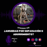 Hablemos de perros