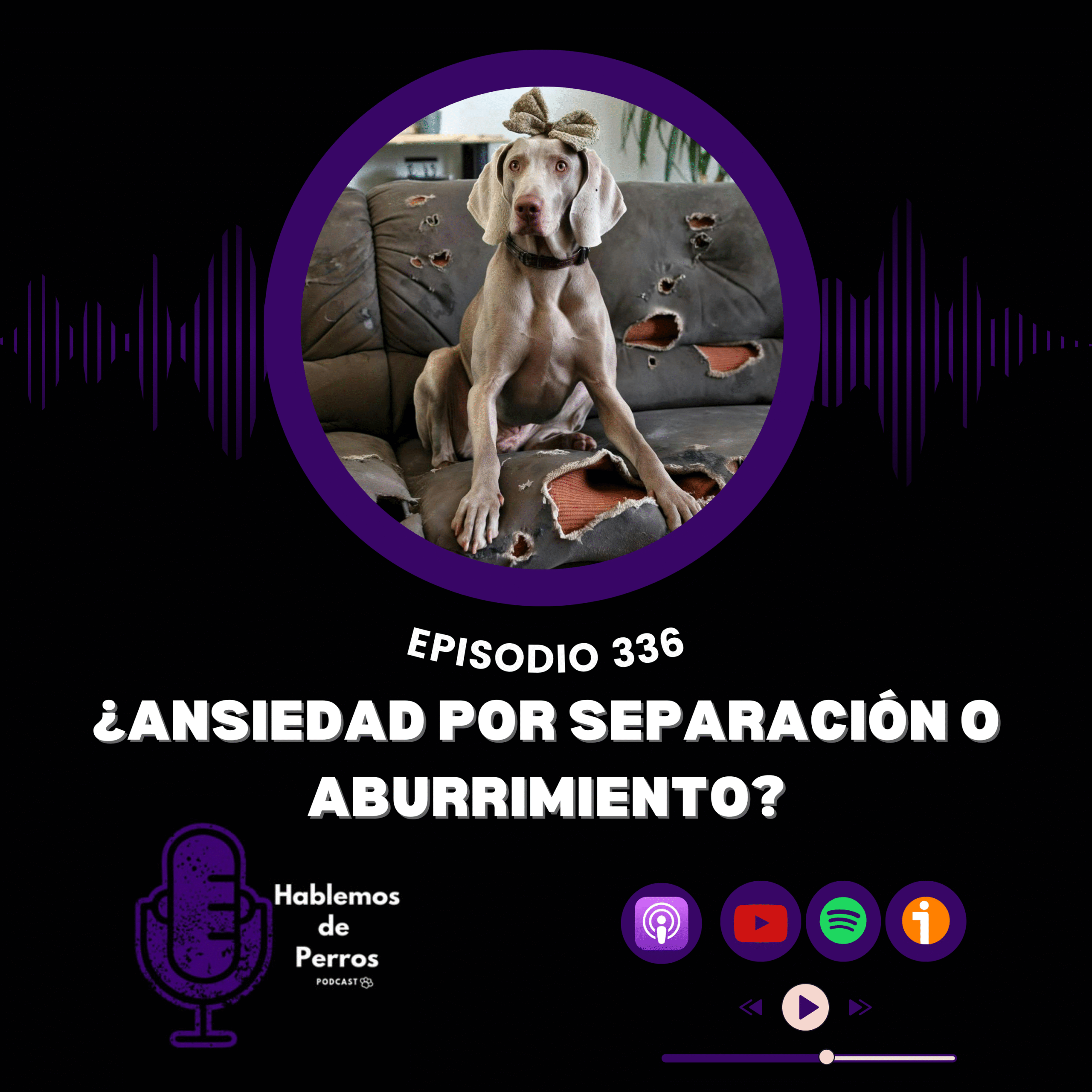 EP#336: Ansiedad por separación o aburrimiento