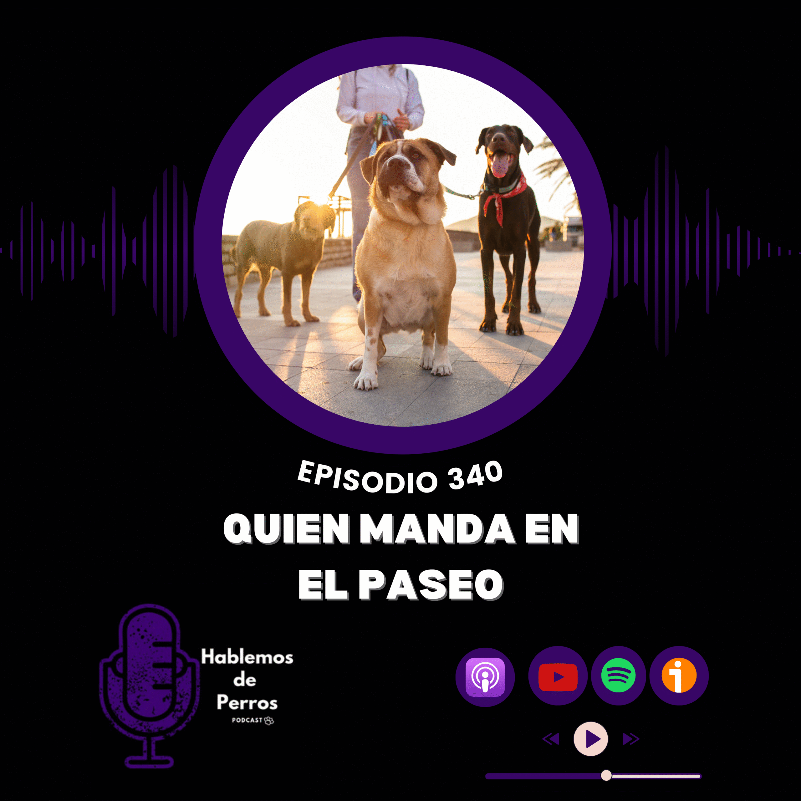 EP#340: Quien manda en el paseo