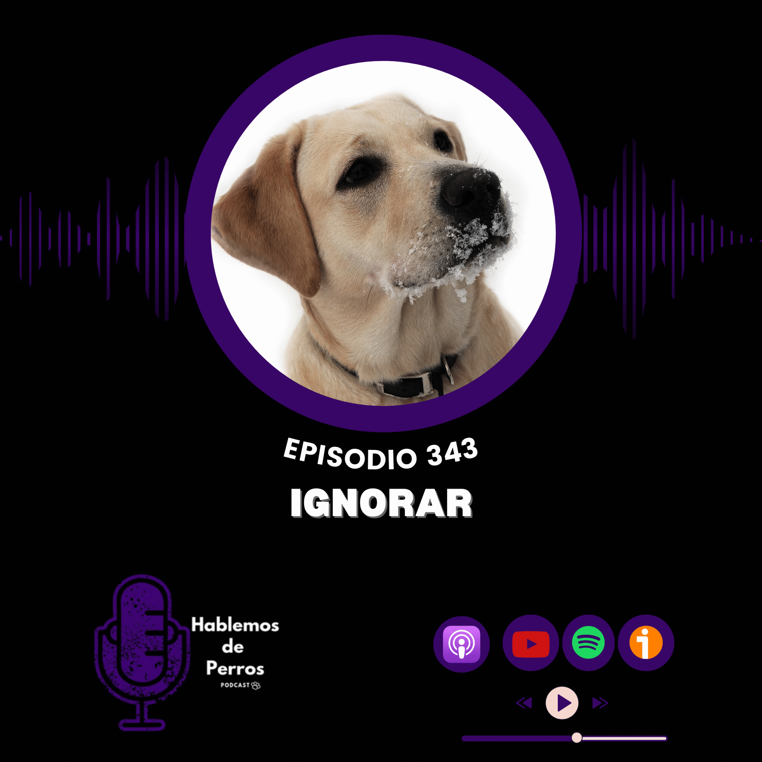 Ep#343: Ignorar no funciona