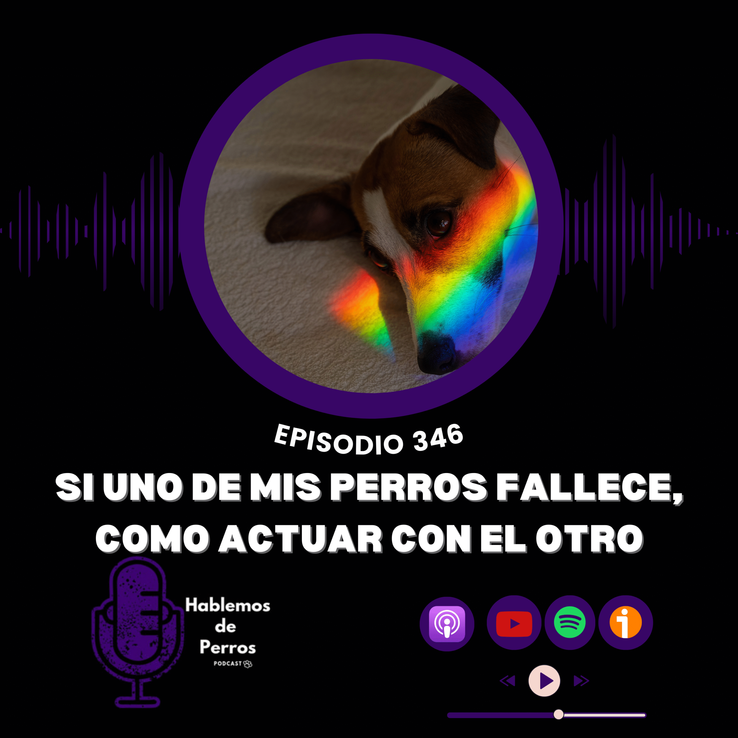 Ep#346: Cómo actuar si uno de mis dos perretes fallece