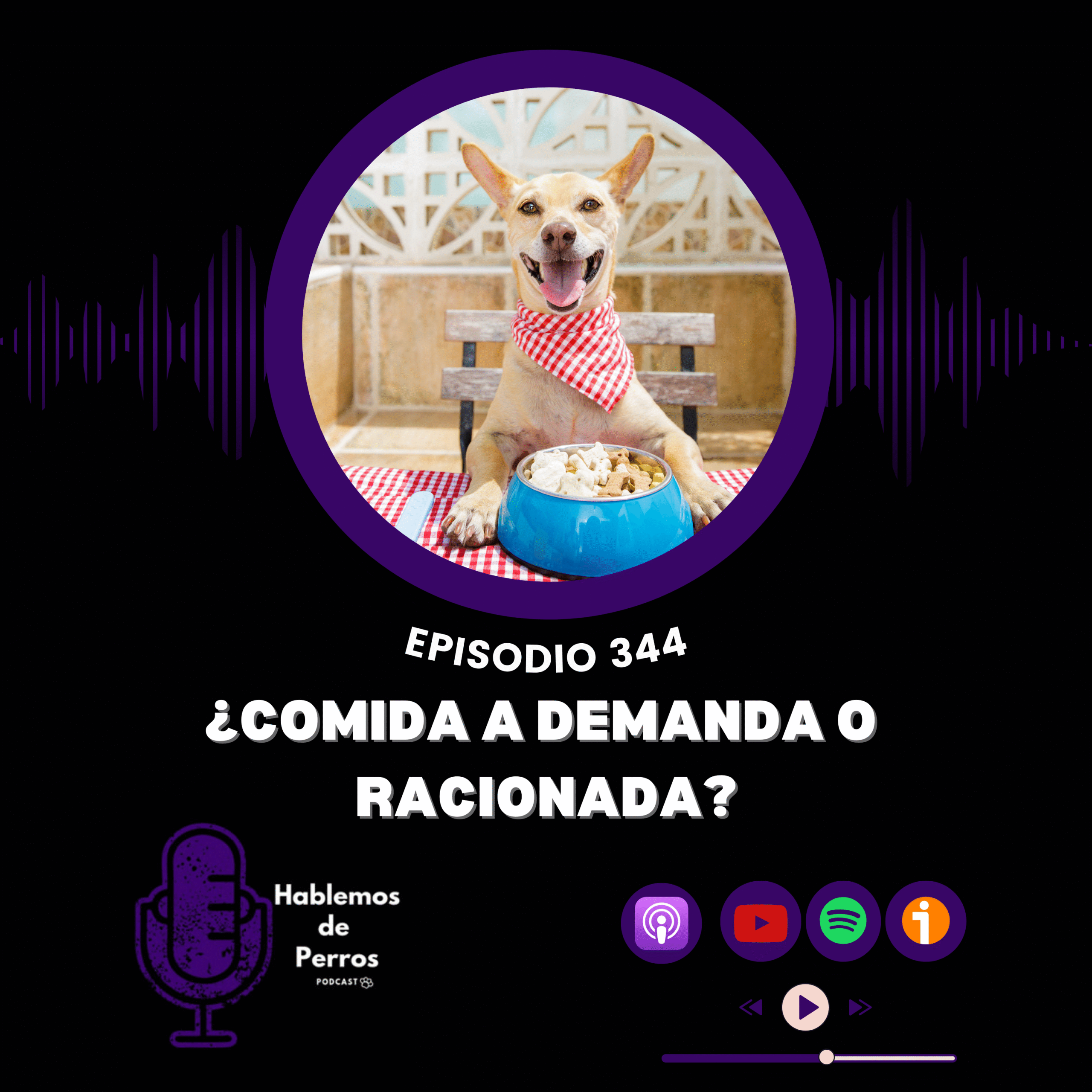 EP#344: ¿Dejo la comida a demanda o raciono?