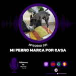Hablemos de perros Hablemos de perros