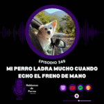 Hablemos de perros Hablemos de perros