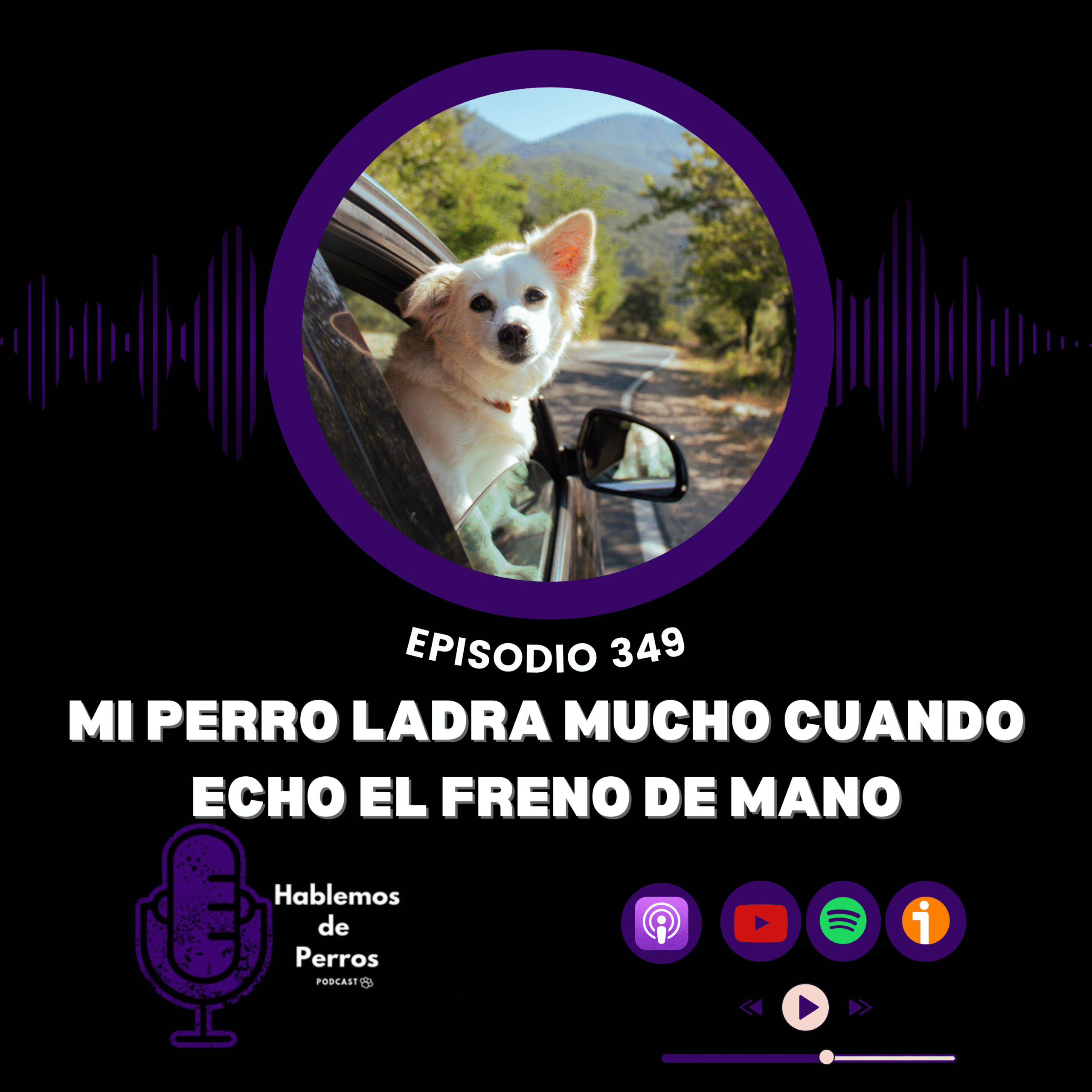 EP#349. Mi perro ladra cuando echo el freno de mano