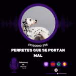 Hablemos de perros Hablemos de perros