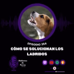 Hablemos de perros Hablemos de perros